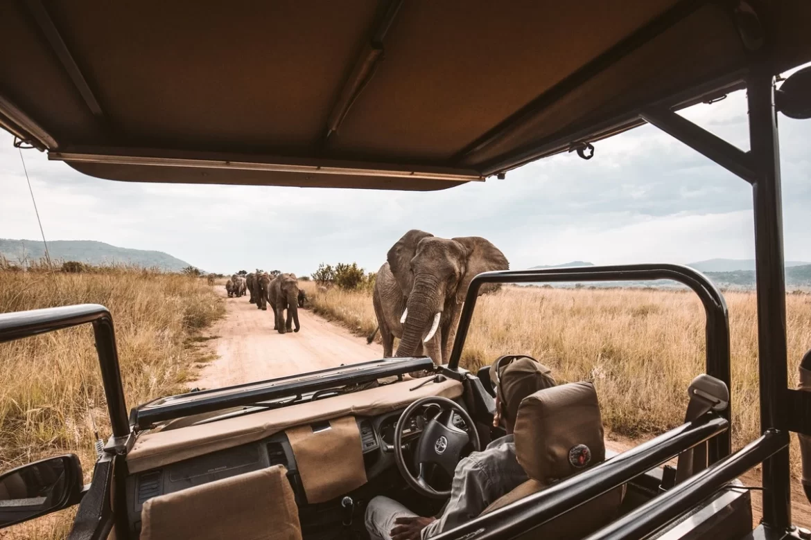 11 of the very best safari’s to visit in Africa