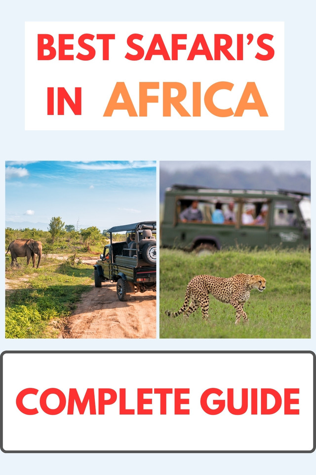 Best safaris in Africa Pinterest pin