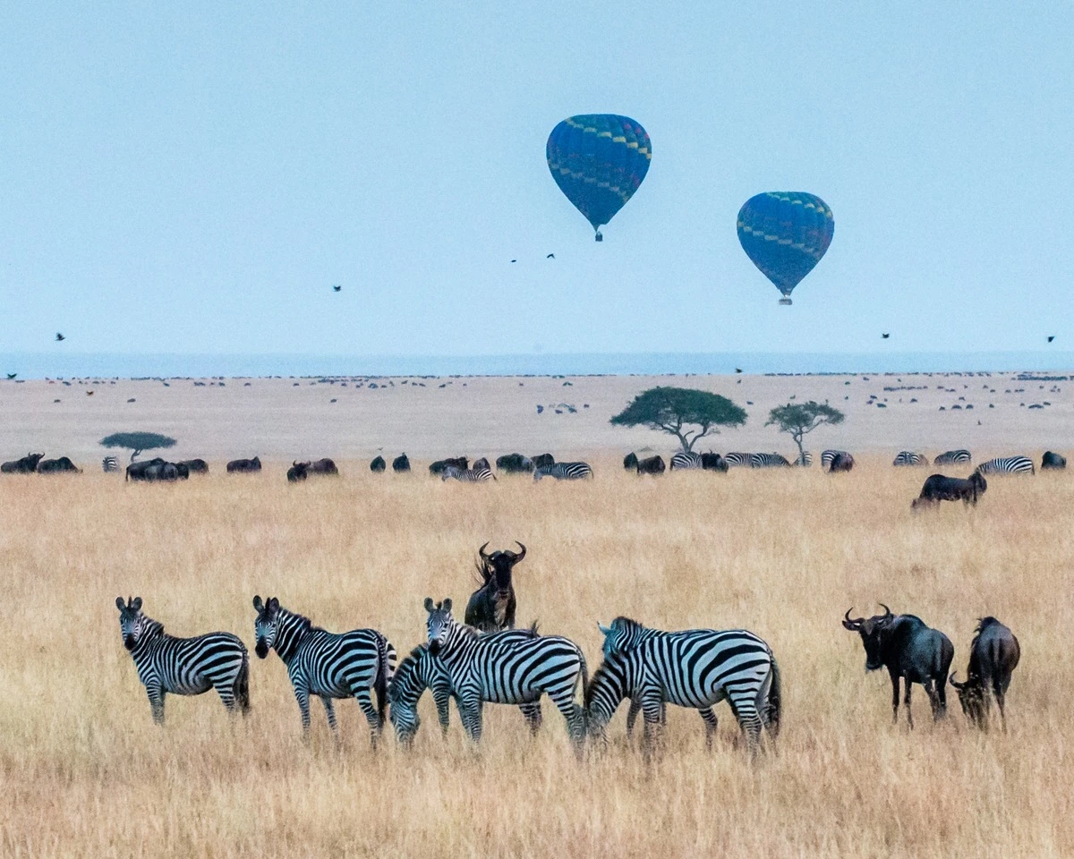 Maasai Mara National Reserve Kenya