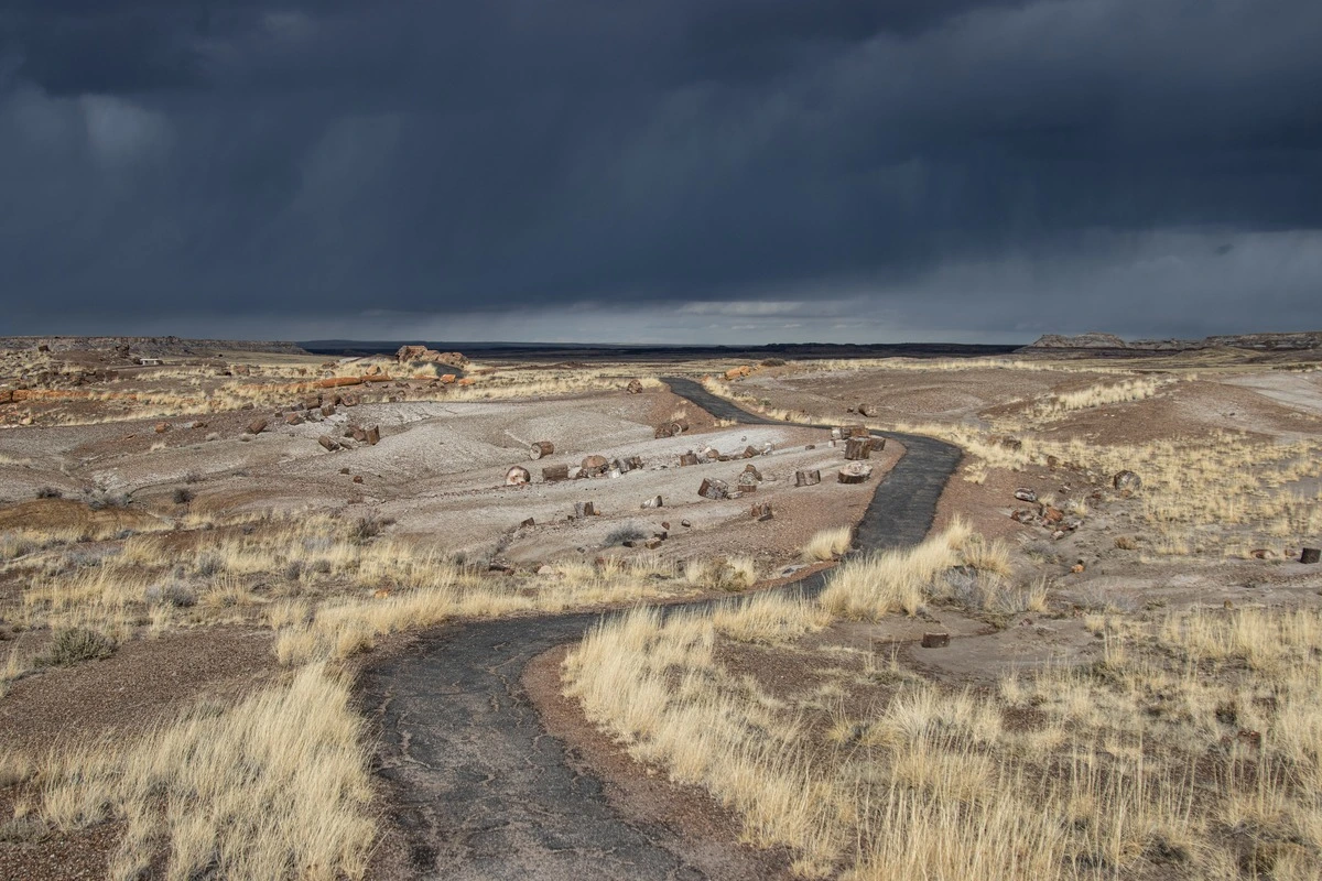 Path Through Petrified Forest National Park