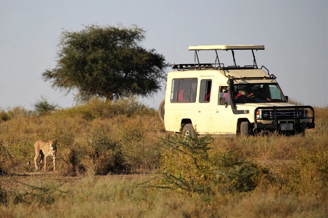 Serengeti National Park Game Drive