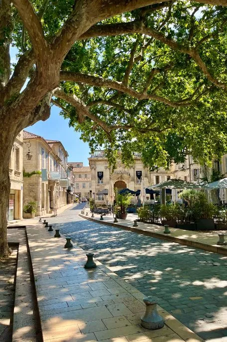 Avignon's Old Town Streets