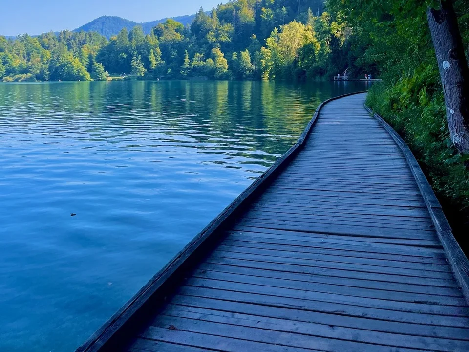 A wooden walkway curving alongside a blue lake surrounded by green trees, with forested hills in the distance under a clear sky. 