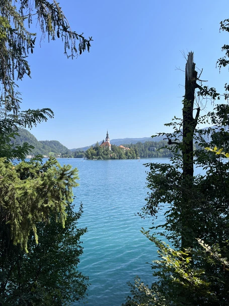 View of Lake Bled Island in Slovenia