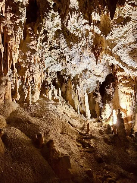 Postojna Cave Slovenia 2