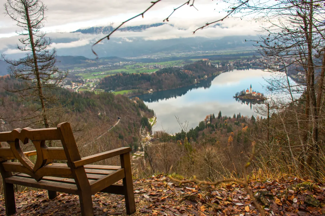 A scenic view from Velika Osojnica Point, overlooking Lake Bled in Slovenia. A wooden bench with a heart-shaped cutout sits in the main focus on a leaf-covered trail. In the distance, Bled Island with its iconic church is reflected in the calm water, surrounded by forested hills and distant mountains under a cloudy sky.