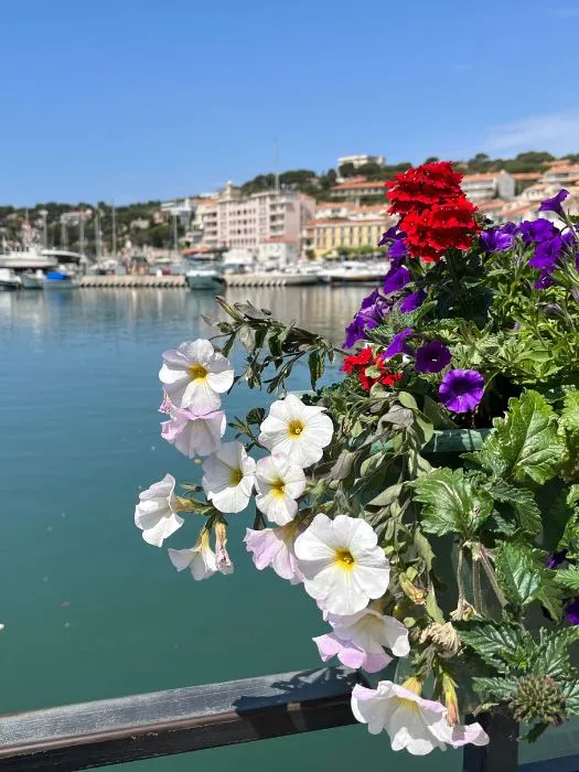 The pretty village of Cassis adorned in lovely flowers