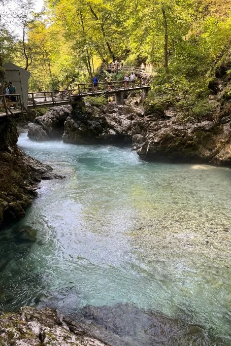 The rivers of Vintgar Gorge, Slovenia