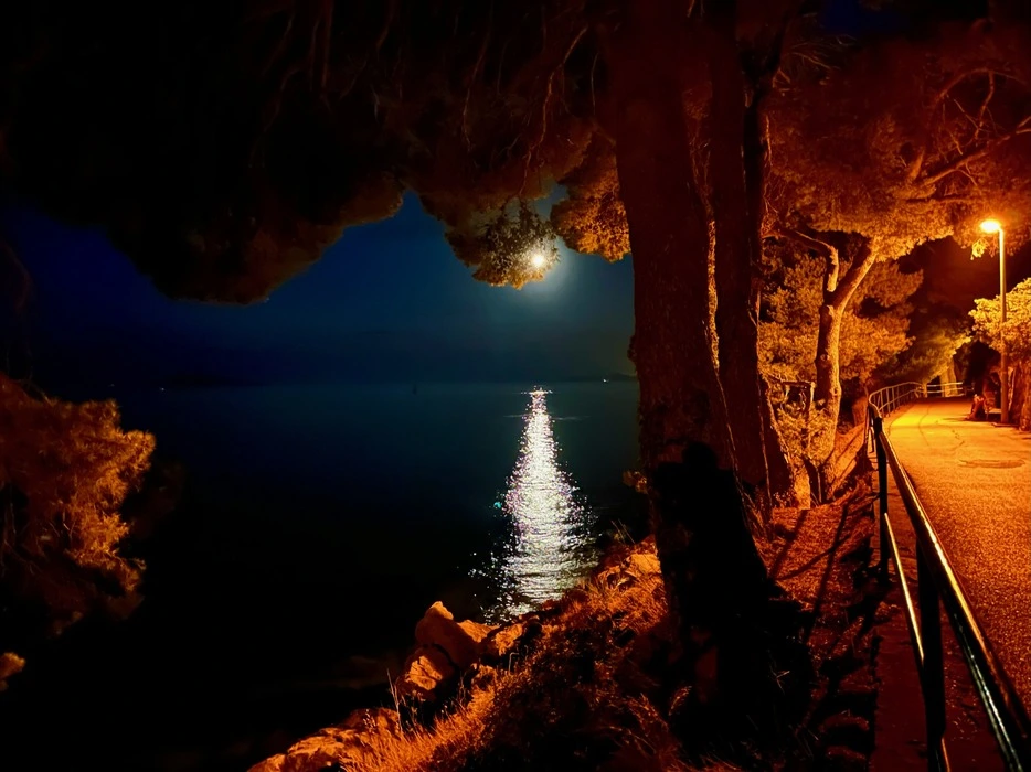 Nighttime view of the calm sea at Cavtat, Croatia, with the moon's reflection creating a shimmering path on the water, as seen from a tree-lined promenade illuminated by a street lamp.
