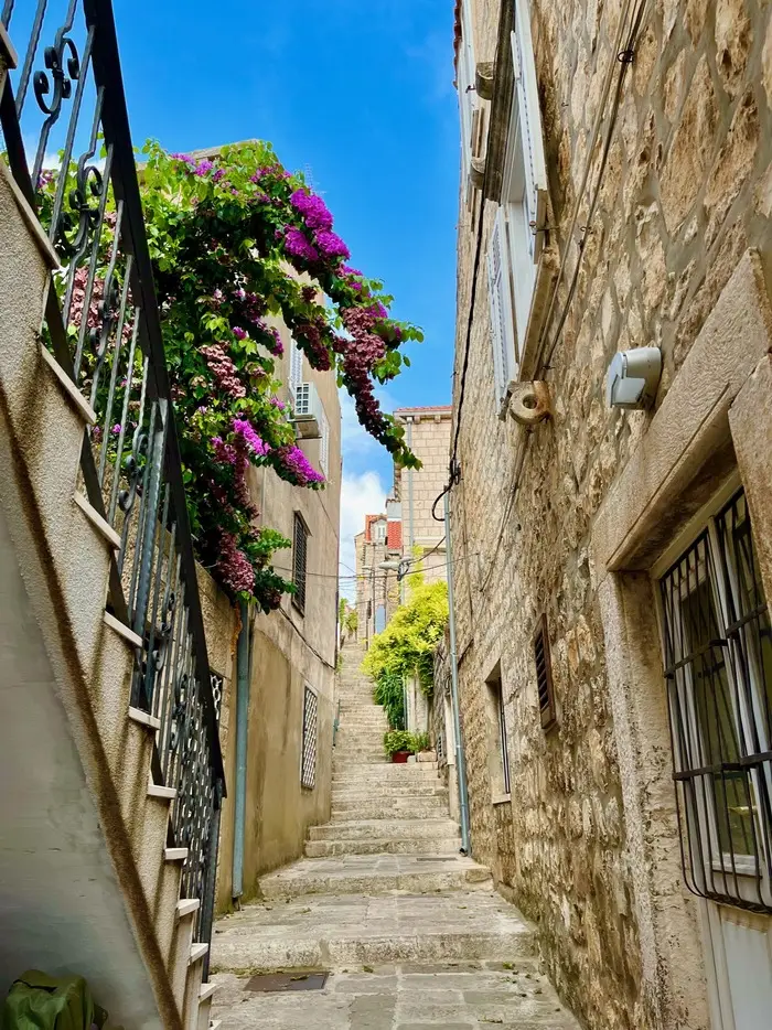 A narrow stone alleyway in Cavtat Town, lined with traditional buildings and vibrant bougainvillea flowers in full bloom under a clear blue sky.