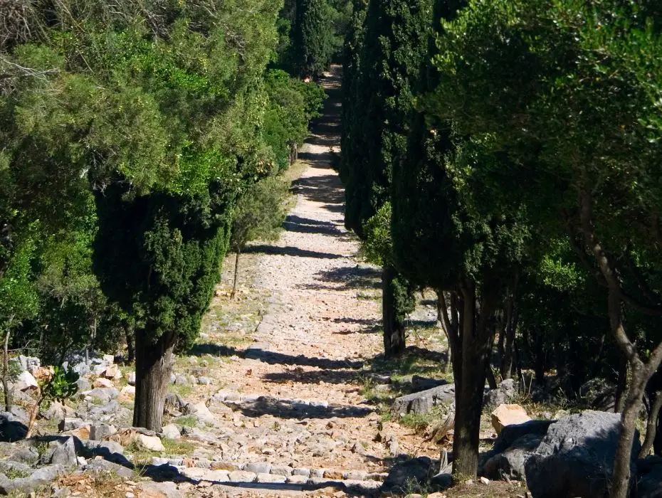 A serene stone pathway lined with lush greenery leads through Lokrum Island, inviting a peaceful walk in nature.