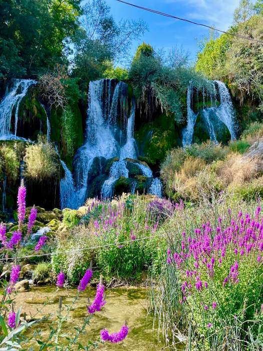 Cascading waterfalls flow over moss-covered rocks, surrounded by dense greenery and blooming purple wildflowers in the foreground.