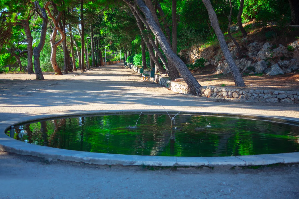 Tranquil pathway through Gradac Park in Dubrovnik, lined with tall, shady pine trees and a large circular pond reflecting the vibrant greenery.