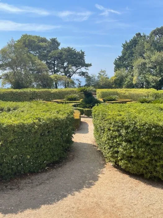 A gravel pathway cuts through the neatly trimmed hedges of The Gardens of Maximilian on Lokrum Island, inviting a peaceful walk amidst nature, under a bright blue sky.