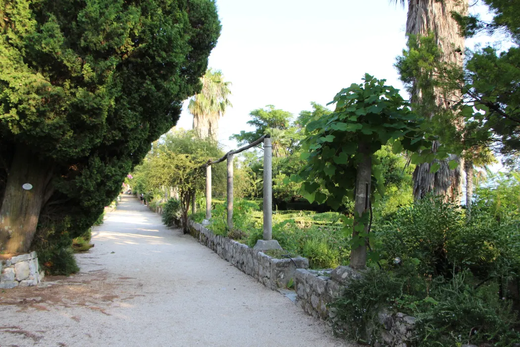 a peaceful walking path in Trsteno Arboretum, surrounded by lush greenery including trees, dense shrubs, and diverse plant life. The path is bordered by a stone wall on one side and a wooden railing on the other, leading through a garden setting.