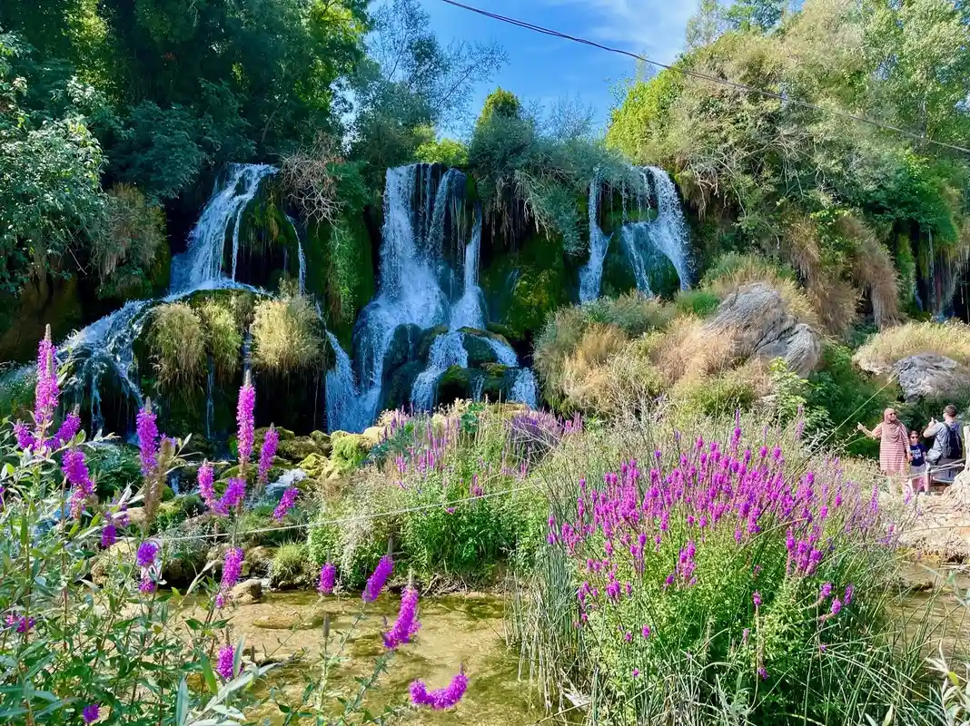 A view of Kravica Waterfalls in Bosnia, showcasing multiple water cascades surrounded by dense greenery. The foreground features blooming purple wildflowers, with a family admiring the scenery to the right