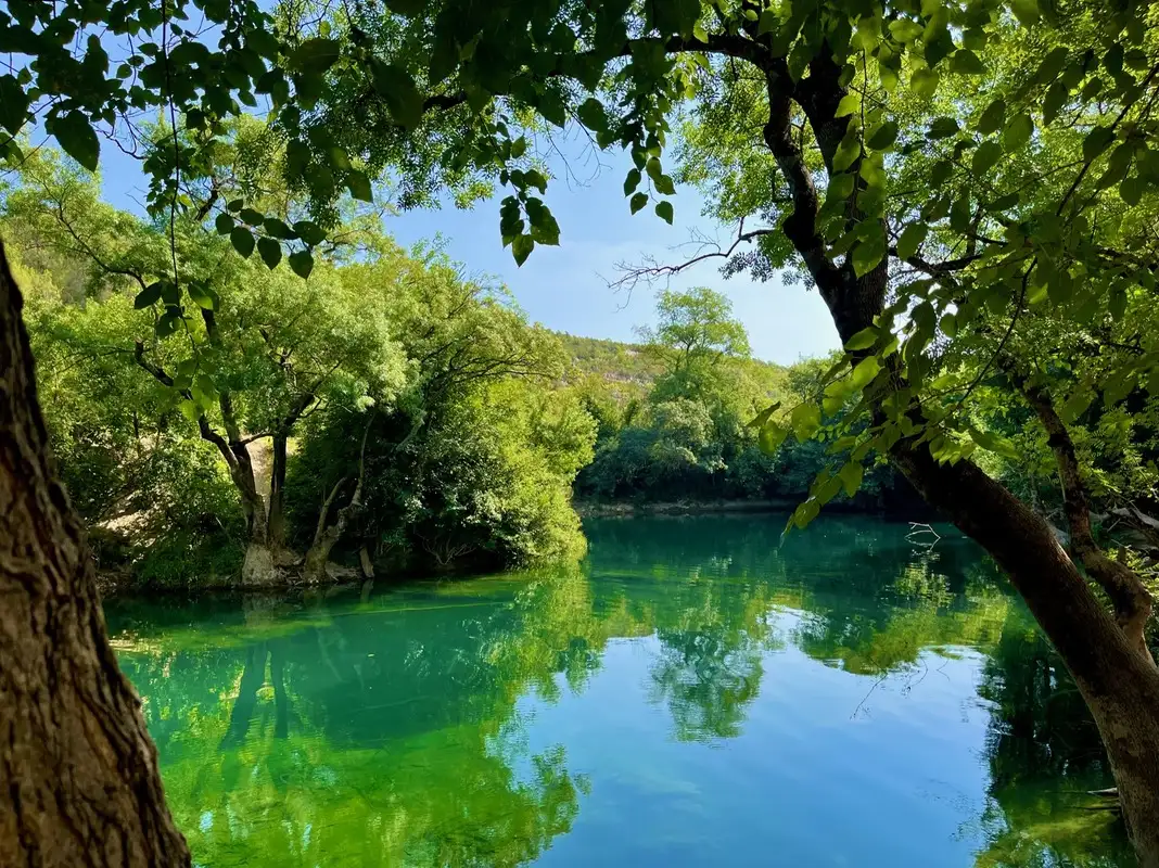 A tranquil pond in the Kravica Waterfalls area, Bosnia, surrounded by lush green trees reflecting in the clear, emerald water. The scene is framed by leafy branches, creating a serene and shaded natural oasis.