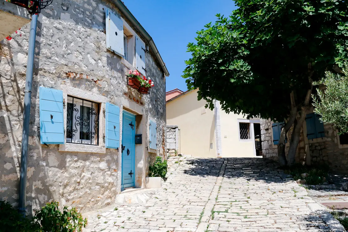 A charming stone house with light blue shutters and door on a cobblestone street in Rovinj Old Town, shaded by a large leafy tree, under a clear blue sky.