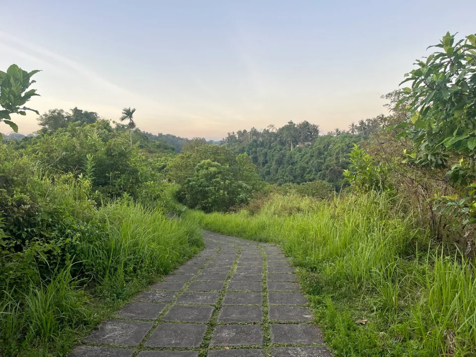 A narrow, stone-paved pathway winding through green vegetation on the Campuhan Ridge Walk in Ubud, Bali, on a warm night during sunset.