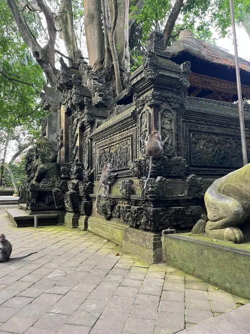 Monkeys climbing and exploring the stone walls of a temple in the Sacred Monkey Forest Sanctuary in Ubud, Bali. The ancient structure features detailed stonework with traditional Balinese designs.