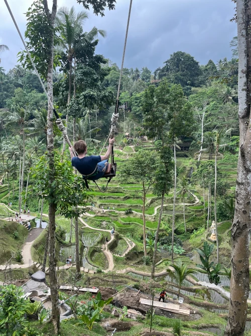 A person swinging high above the Tegallalang Rice Terrace in Bali, surrounded by layered rice paddies and dense tropical vegetation.