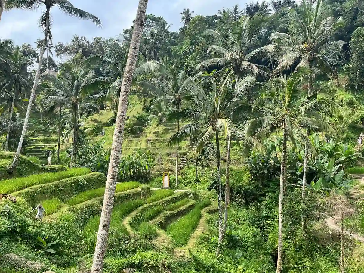 The Perfect 3 days in Ubud Itinerary