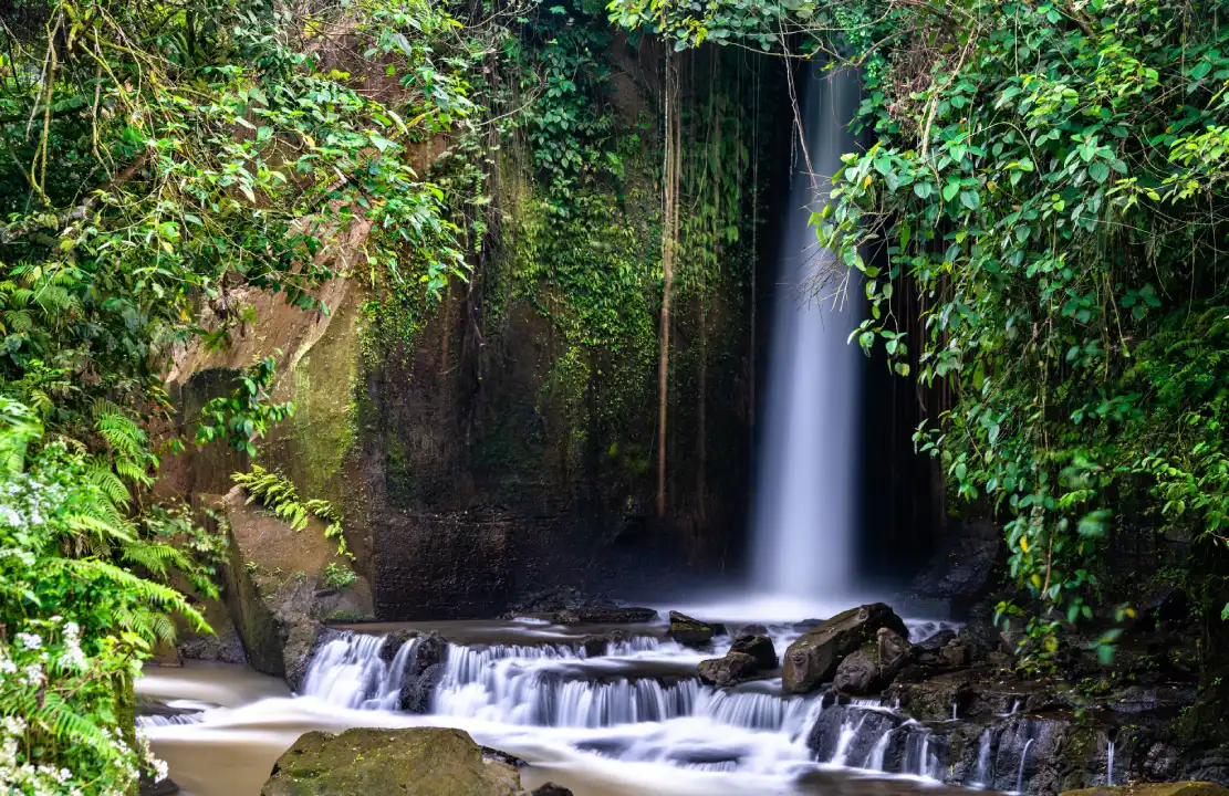 A waterfall in a tropical rainforest, surrounded by dense greenery and vines, cascading over rocks into a clear stream below.