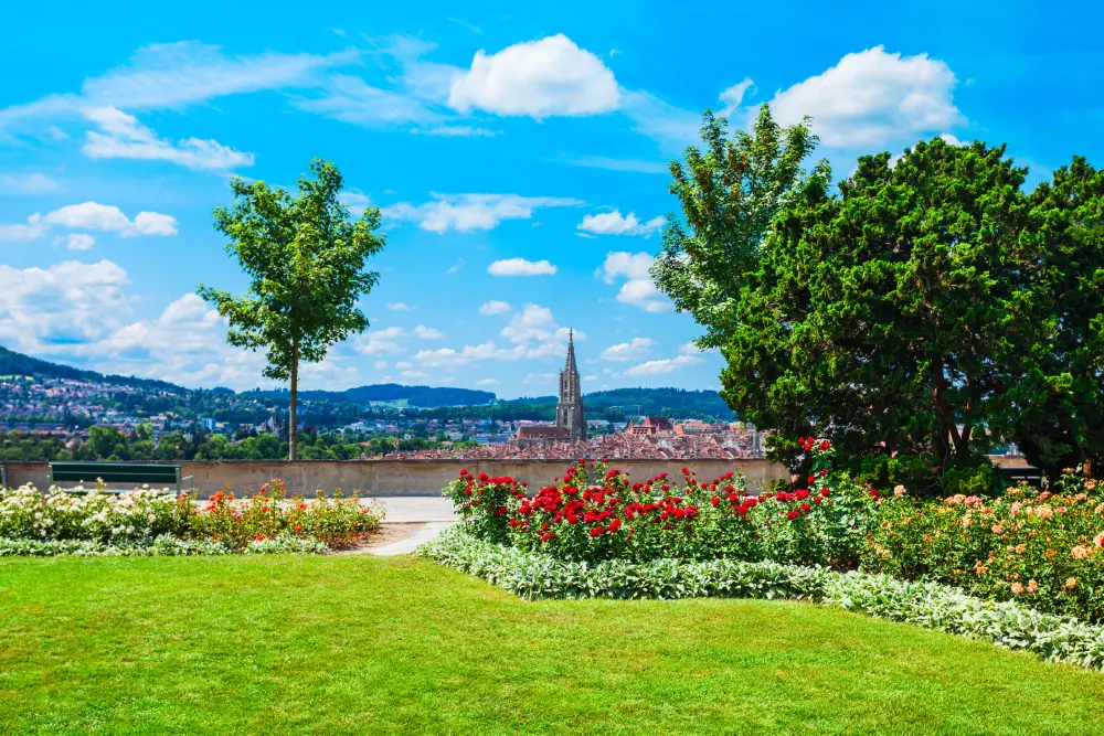 Colourful roses and neatly cut grass in Bern's Rosengarten park, with panoramic views of Bern’s old town and the tall Bern Minster spire in the distance under a blue, partly cloudy sky.