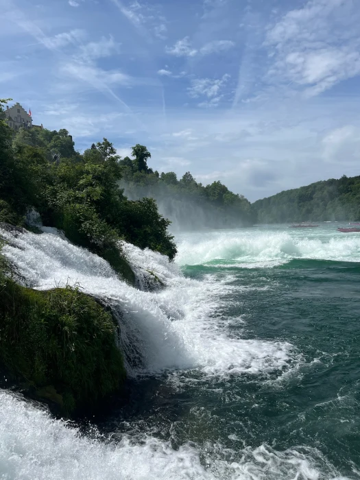 Rhine Falls from northern bank platforms