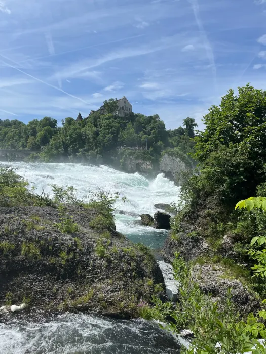 View of Rhine Falls with forest surroundings